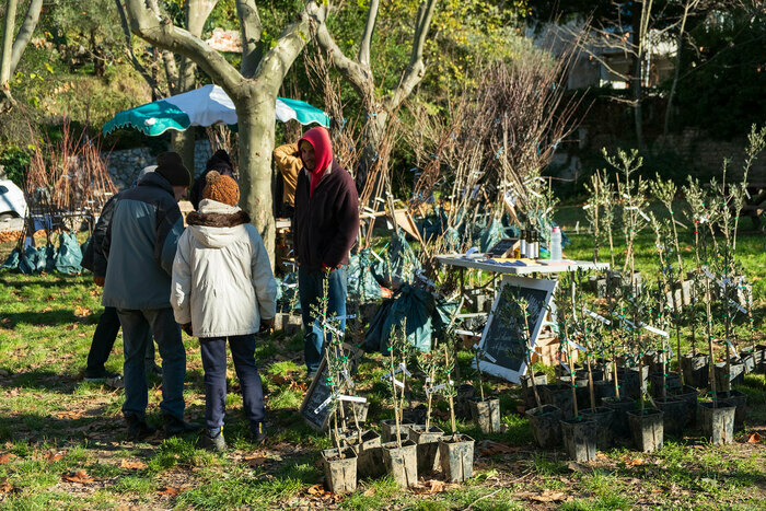 Journée des pépiniéristes Centre national de Pomologie Alès