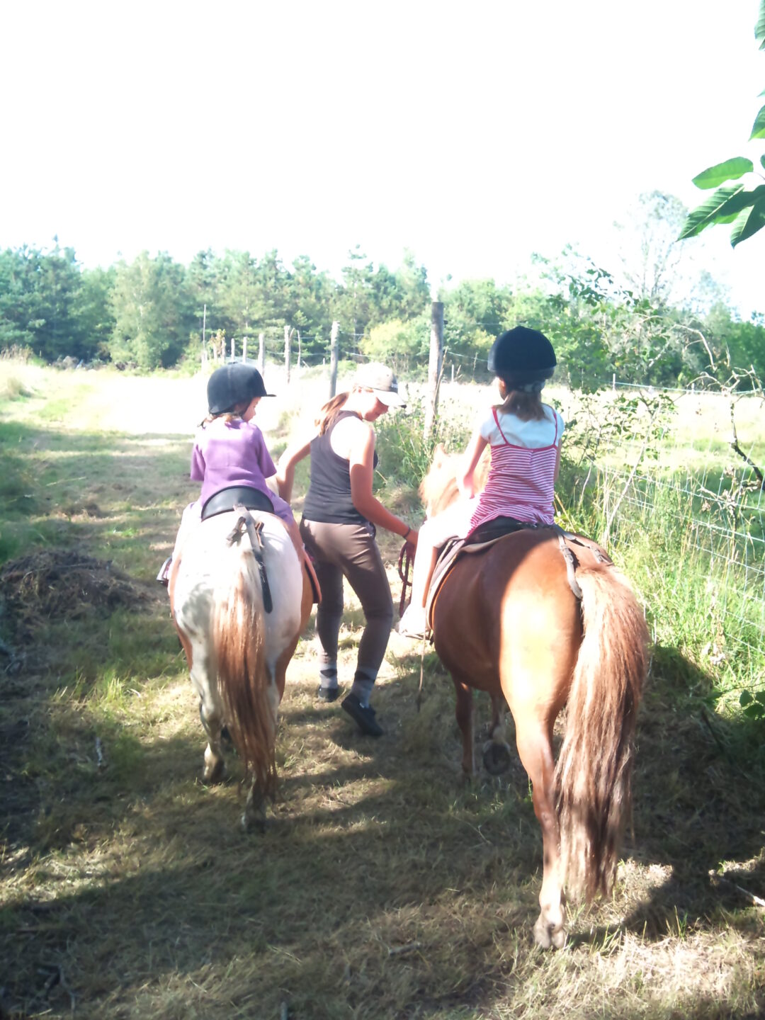 Journée nature & cheval  Saint-Priest-les-Fougères 2026-03-28