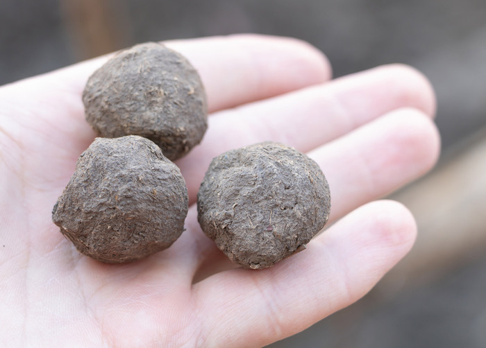 Journée récréative Les Terrasses du Bosquet Alès Journée récréative Les Terrasses du Bosquet Alès
