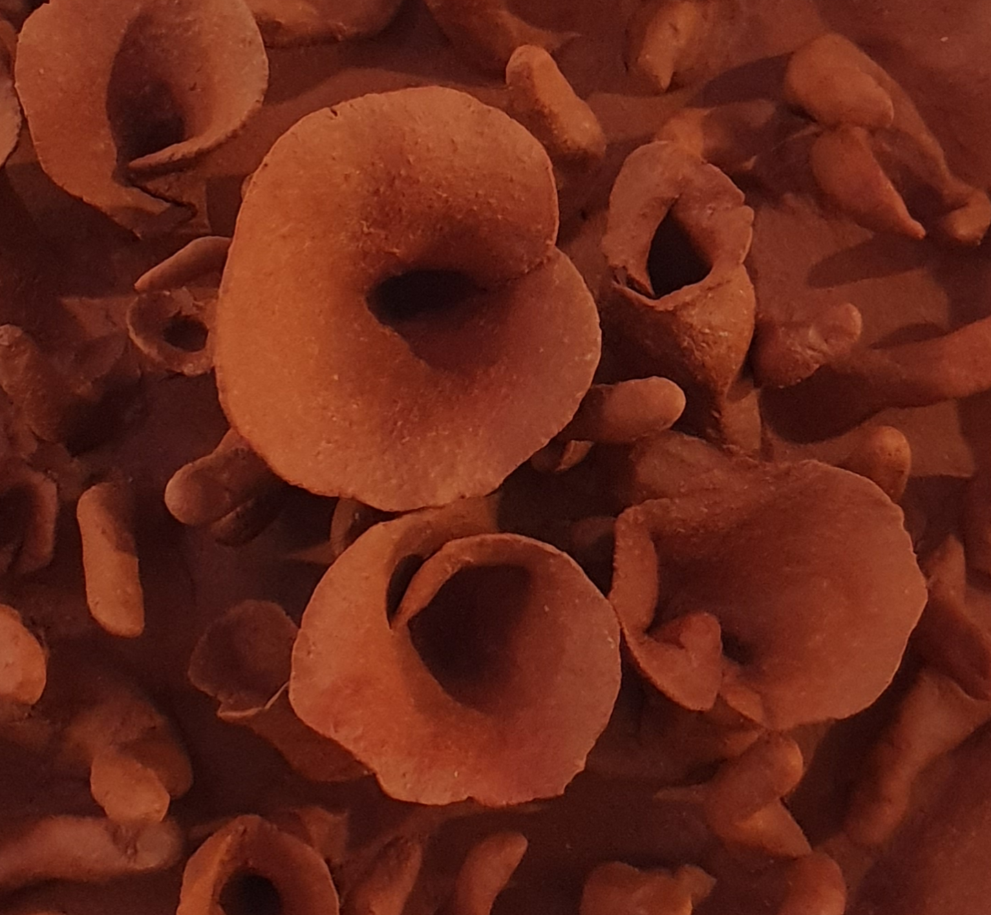 Journées des Métiers d'Art exposition Terre à Cœurs Cécile Laissus 22 rue Armand Fallières Villeréal 2026-04-10