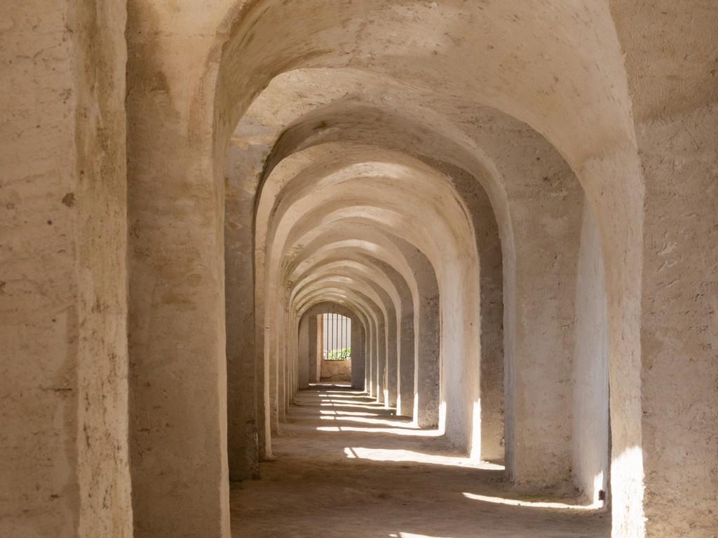 Journées européennes de l'archéologie 232 Place de l'Eglise Sorde-l'Abbaye 2026-06-13