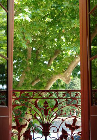 JOURNÉES PORTES OUVERTES LE MIMOSA