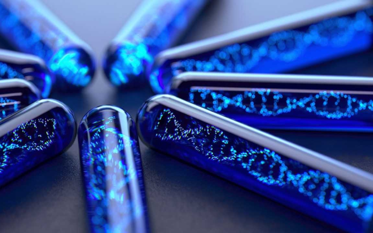 Kiosques en Fête 2026 : Plongez au cœur de l’ADN ! Kiosque du Bd Auguste Blanqui  Paris