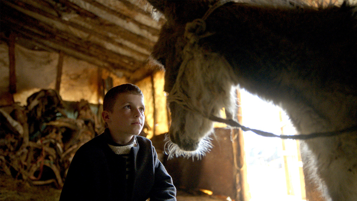 La Beauté de l’Âne Autre lieu Genève