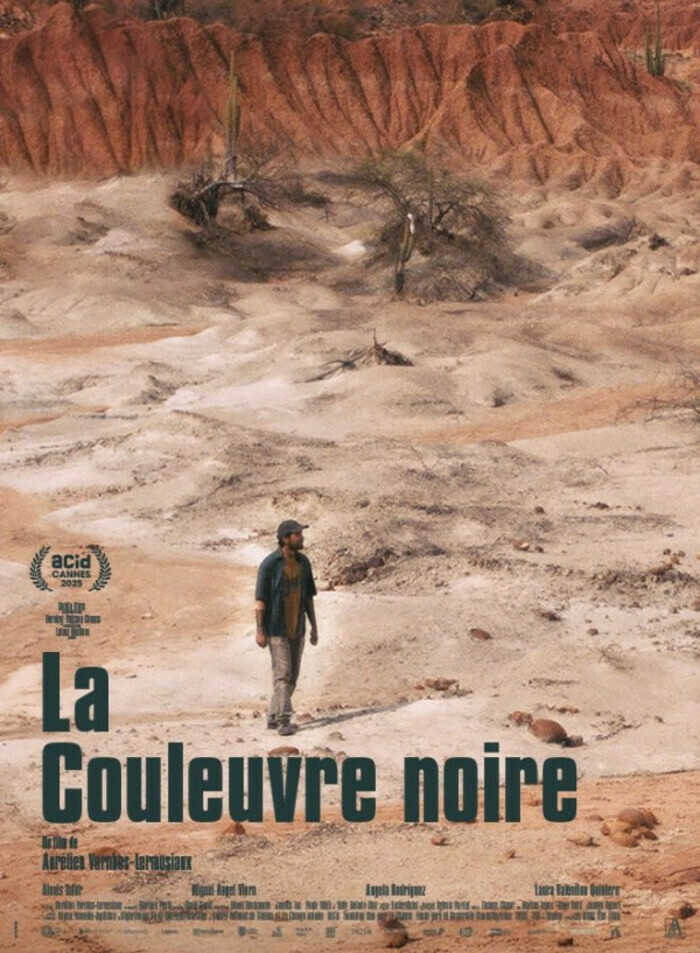 La Couleuvre noire Le cinéma de la Cité Angoulême