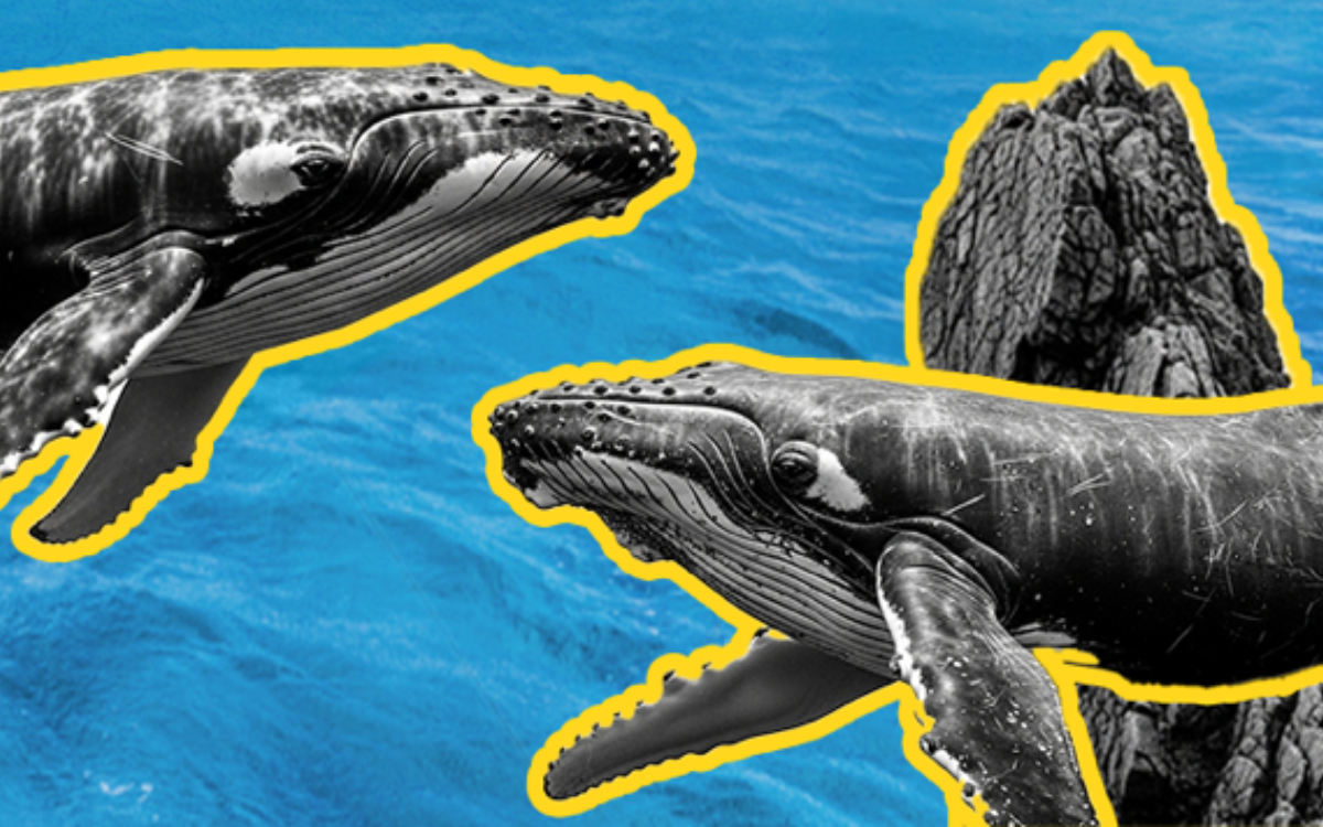 La Grande Marée - Le festival de la mer et des marins Musée national de la Marine  Paris