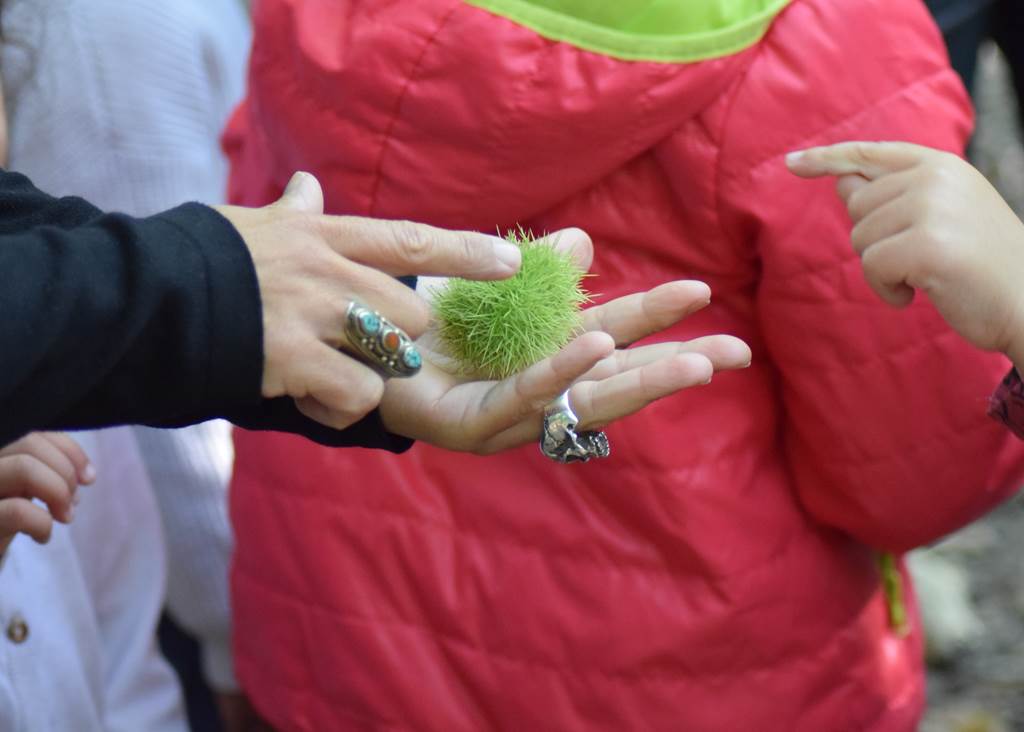 La magie des plantes se préparer à l'hiver en douceur 5 rue de la Héronnière Boult-aux-Bois 2026-09-17