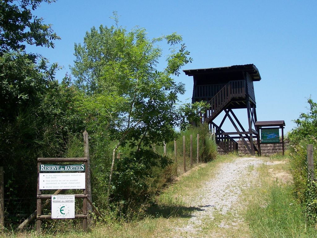 La Réserve de Chasse et de Faune Sauvage de Lesgau