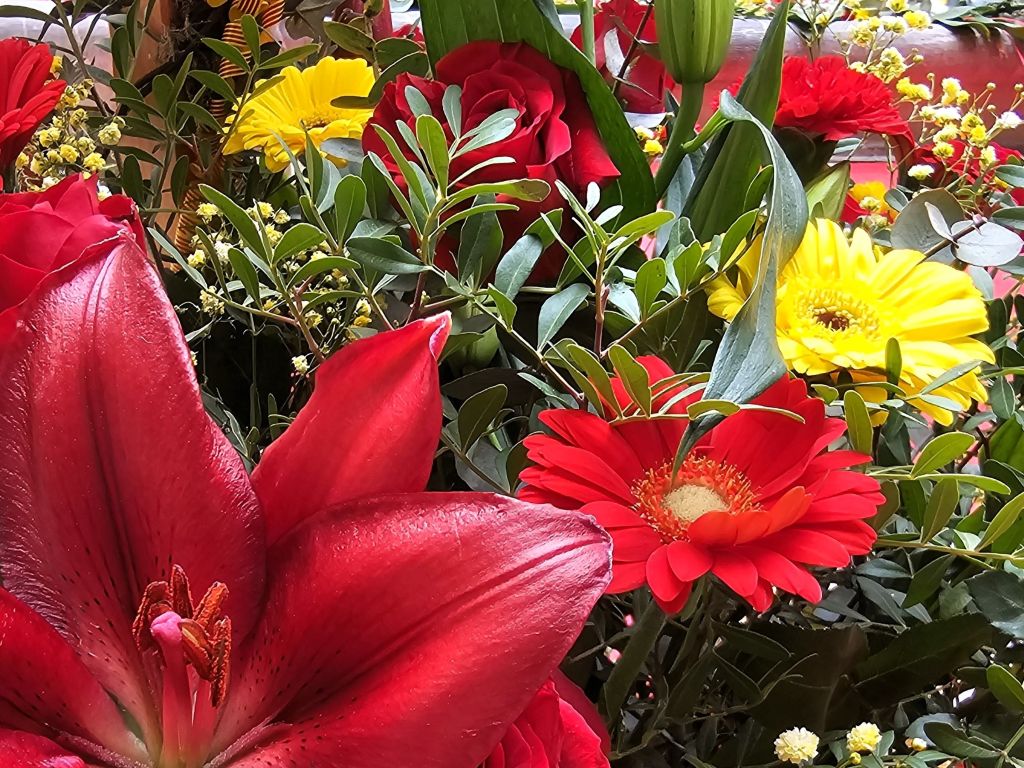 LA SANT JORDI AU MUSÉE Musée d&rsquo;Art Hyacinthe Rigaud Perpignan