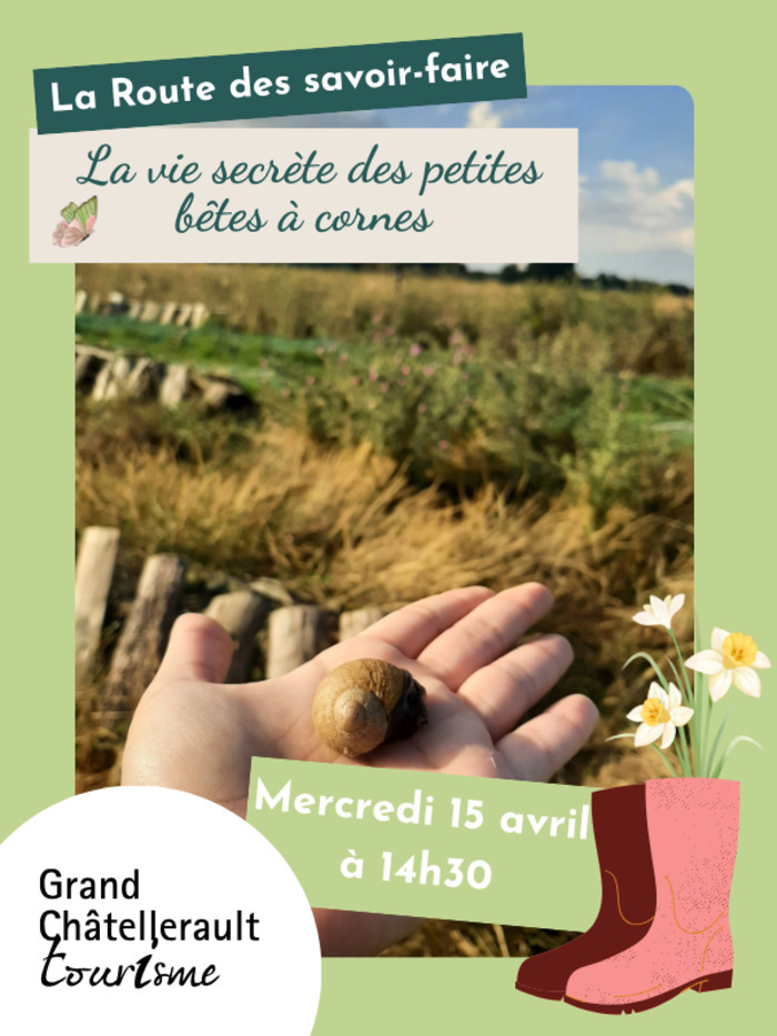 La vie secrète des petites bêtes à cornes L'escargot du poitou Leigné-les-Bois 2026-04-15