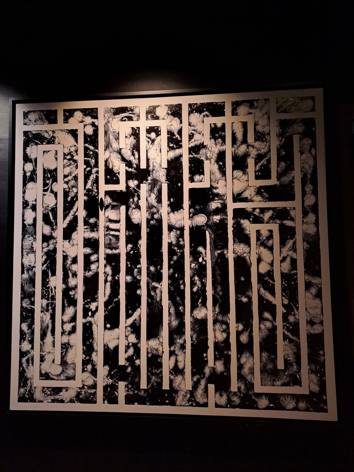 " Labyrinthe " Musée Du Touquet-Paris-Plage Le Touquet-Paris-Plage