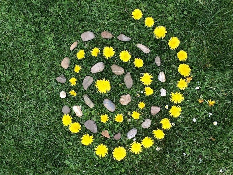 Land art  Rott 2026-07-22