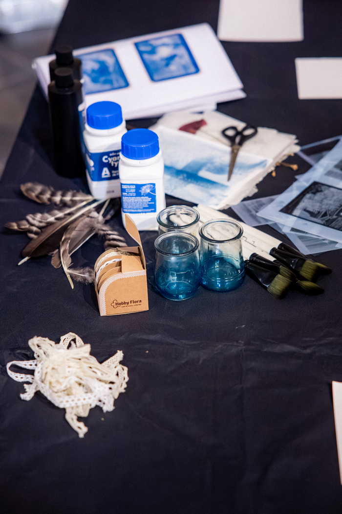 L'Art cyanotype Le Castelet Toulouse