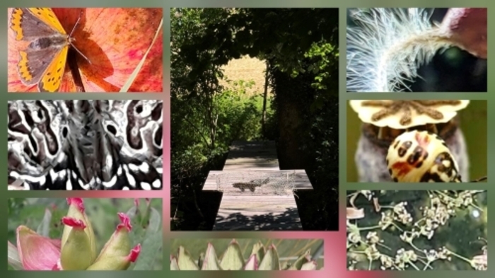 L'Art de Voir Jardin d'Ingrid