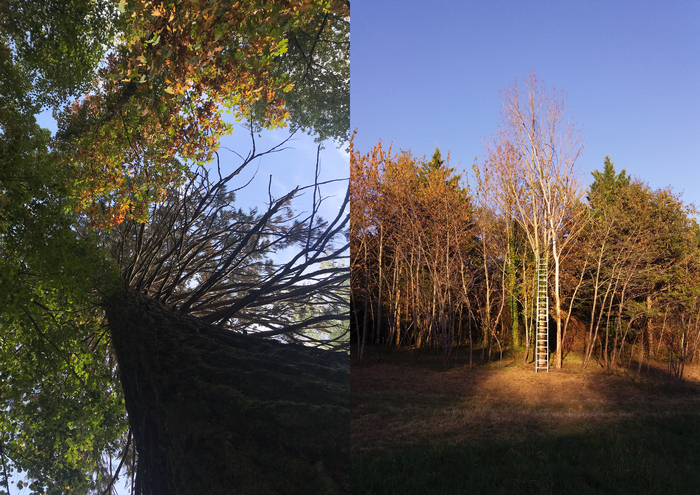 Le jardin d’hélys-oeuvre de 1831 à 2031