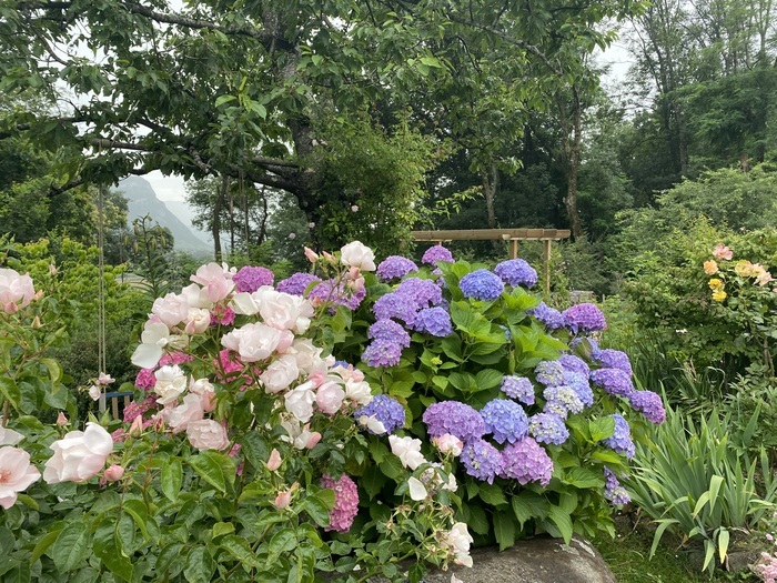 Le Jardin sur la Moraine                           visites  au profit de l’association                Jardins & Santé Le jardin sur la moraine Saint-Baldoph
