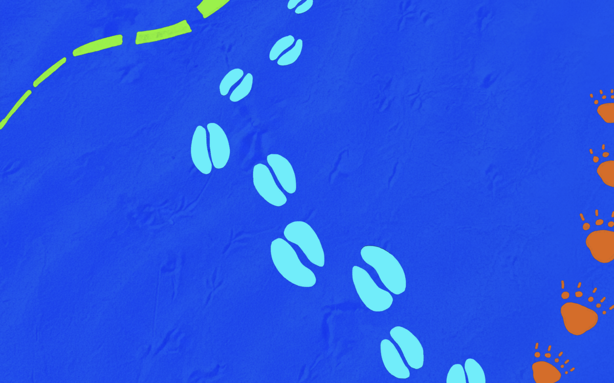 Le Lavoir en Famille Lavoir Moderne Parisien  Paris