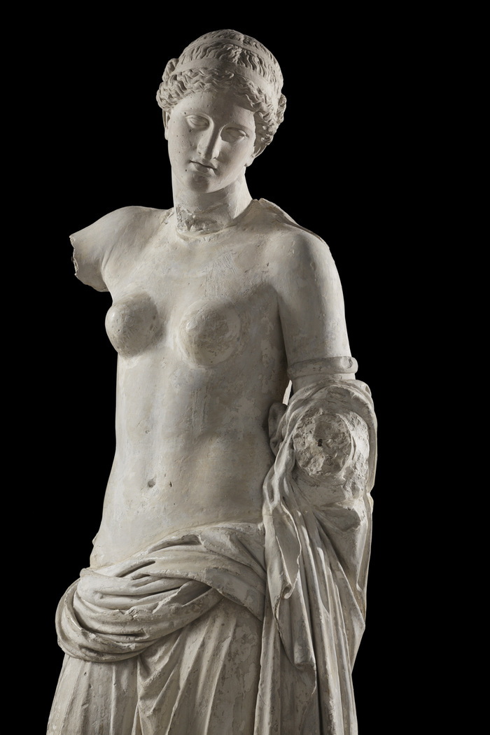 Le passage de Vénus : histoires de plantes Musée départemental Arles antique Arles