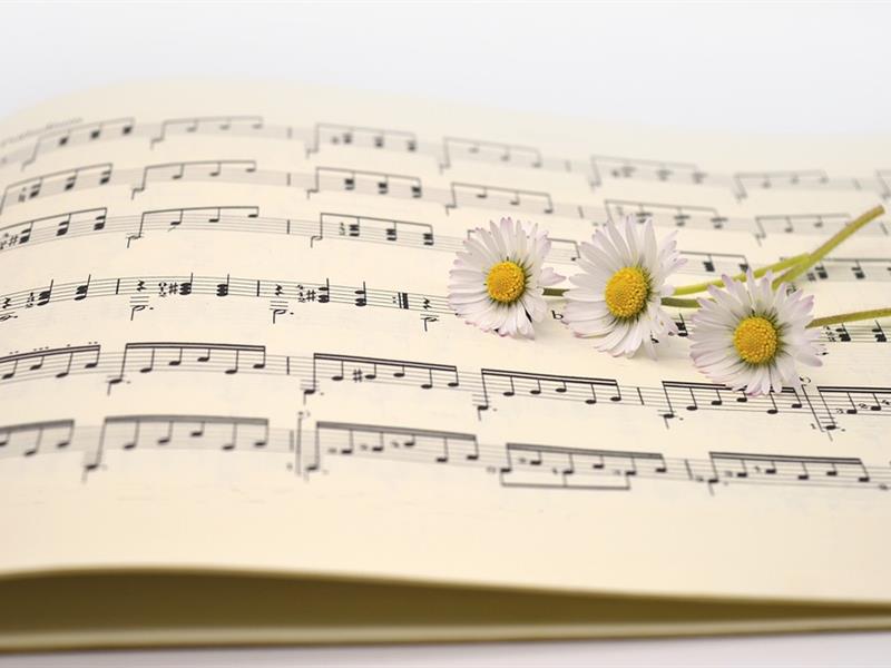 Le Voyage Musical 32 Rue principale Cosswiller 2026-04-25