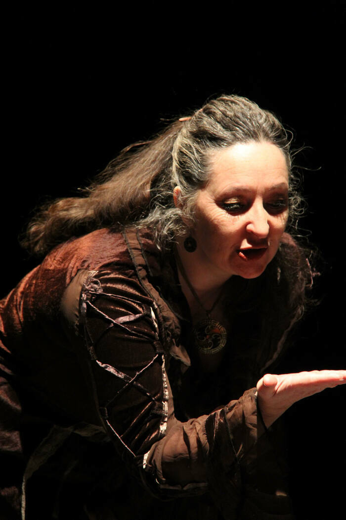 L'eau dans tous ses états Domaine de Vizille - Musée de la révolution française Vizille