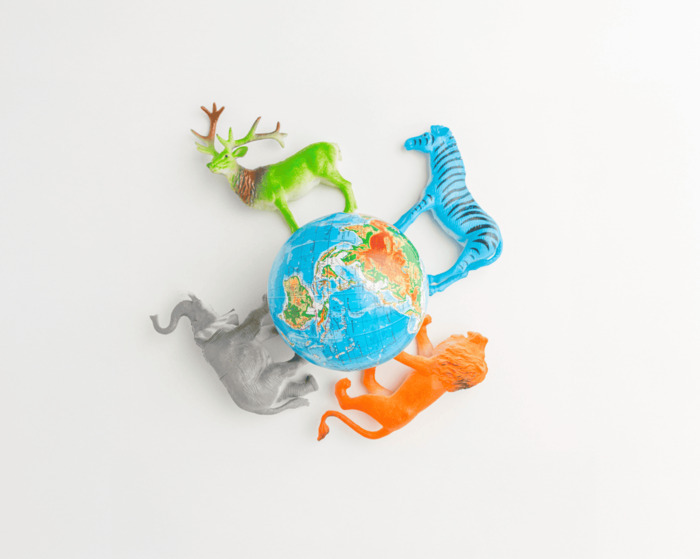 Les animaux du monde