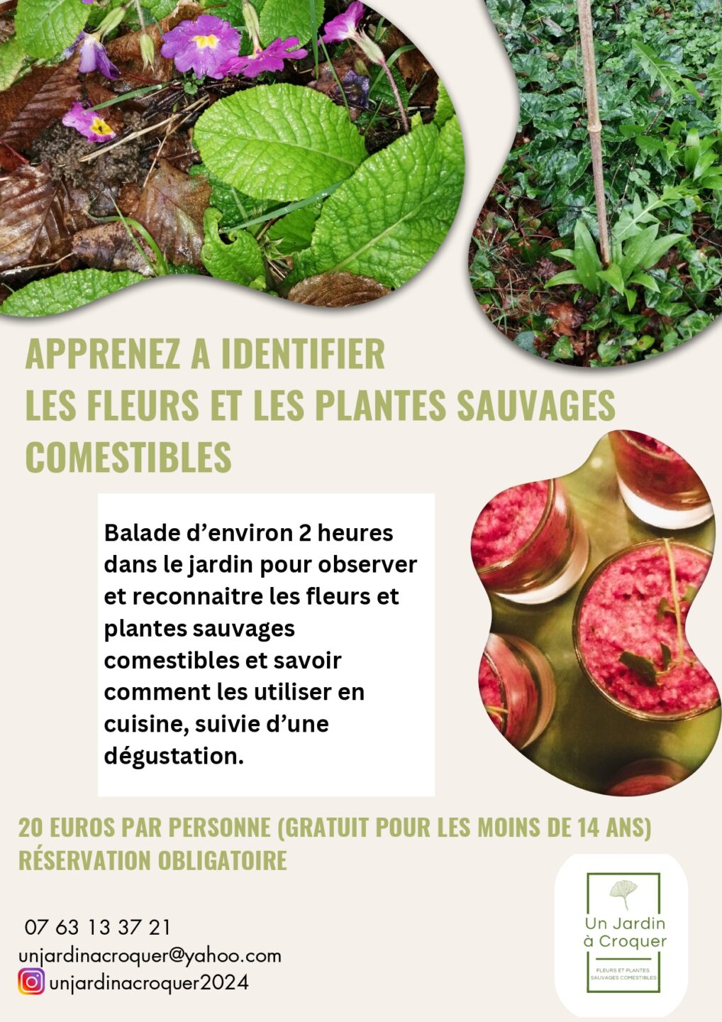 Les fleurs et les plantes sauvages comestibles Champ de la Lande Malleret-Boussac 2026-04-11