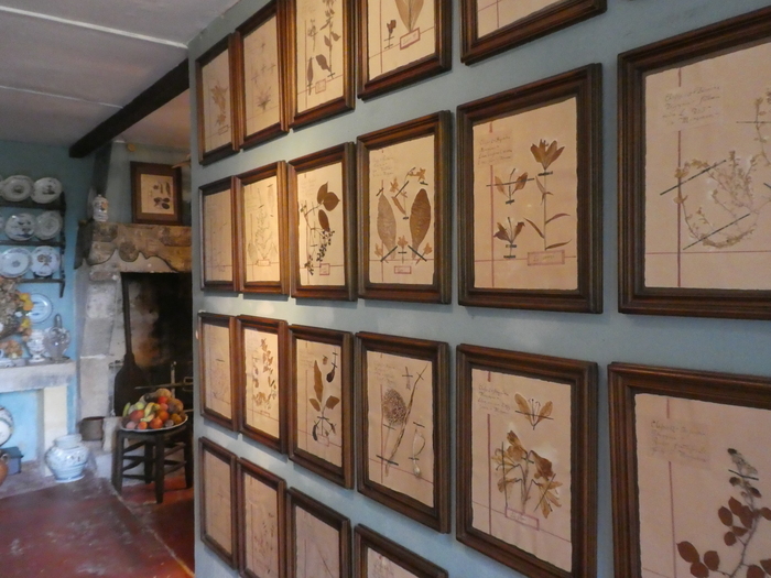 Les fleurs vous font de l'œil Jardins du château de Mongenan Portets