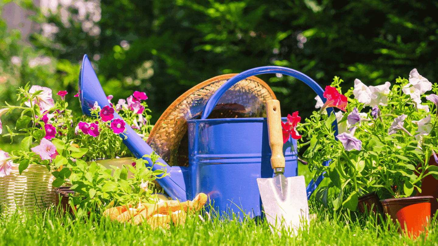 Les Floralies de l&rsquo;ACBV  Biscarrosse