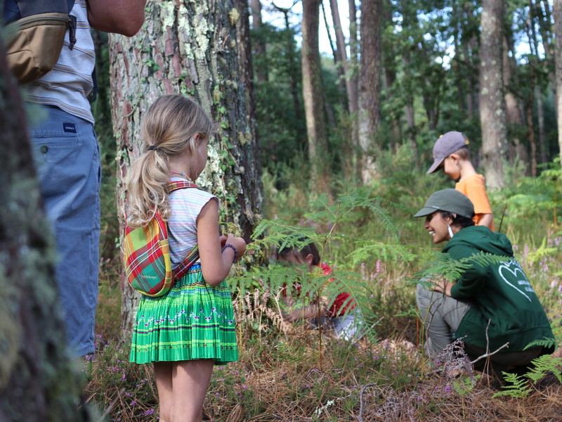 Les minuscules qui font peur 18 Rue du Port Biganos 2026-10-30