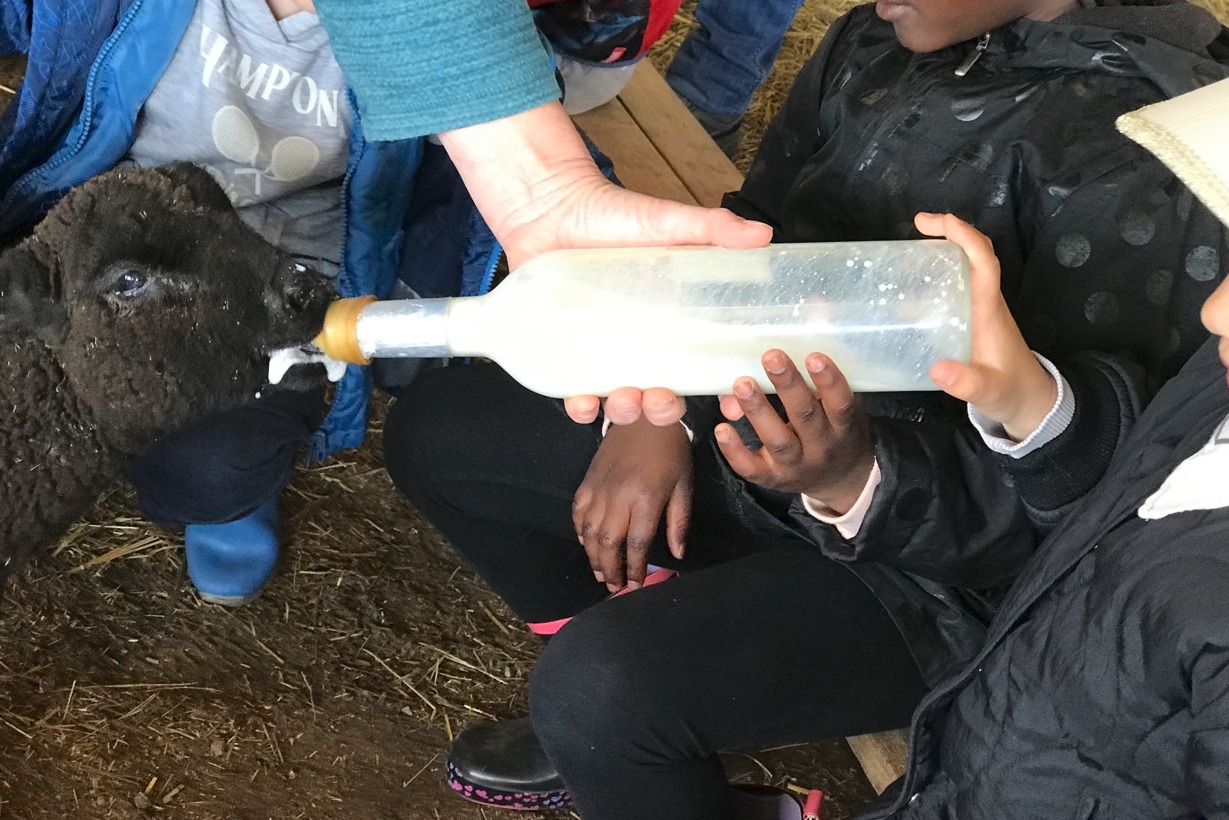 Les Sabots de laine accueillent le printemps Pouyol Saint-Hilaire-Bonneval 2026-03-28