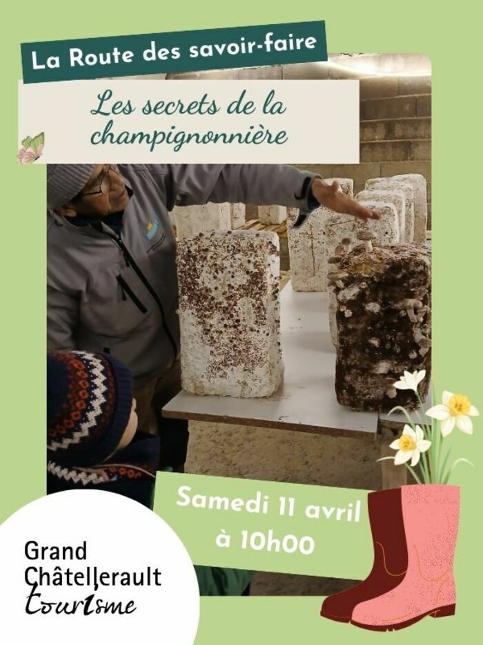 Les secrets de la champignonnière 9 bis rue de la Tour Scorbé-Clairvaux 2026-04-11