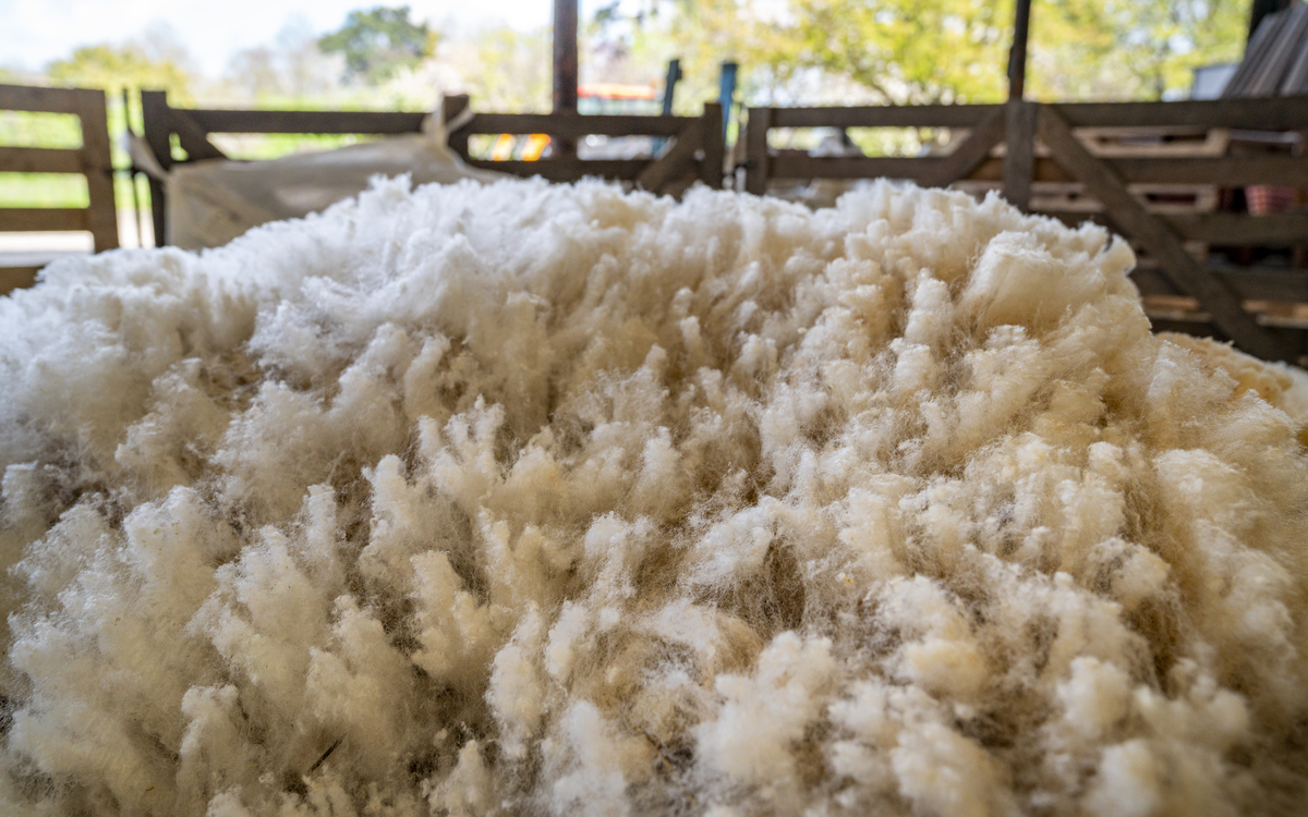 Les vacances de printemps à la ferme La Ferme de Paris Paris