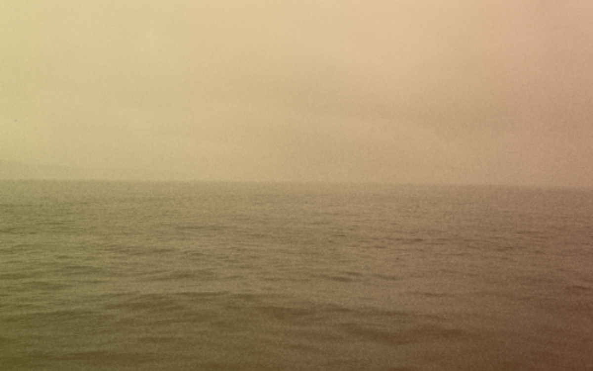 L'eutierrie - Résonances du vivant Galerie du Montparnasse  Paris