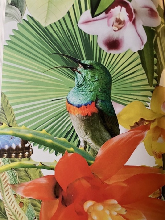 L'Hypothèse d'Astrée Théâtre de Thouars Thouars