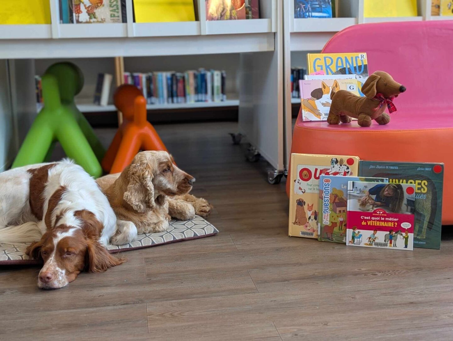 Lire avec les chiens 165 Rue Jules Ferry Biscarrosse 2026-04-22