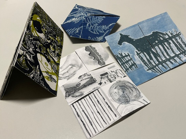 Livres d’artistes et Cie Sans réserve !