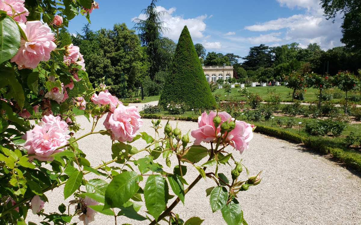 L'Orangerie Sonore au parc de Bagatelle - 5e édition du festival ProQuartet Parc de Bagatelle  Paris