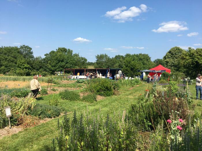 Marché artisanal et de producteurs - Visite découverte du jardin pédagogique de plantes médicinales et aromatiques jardin de la chevérière La Boissière-de-Montaigu