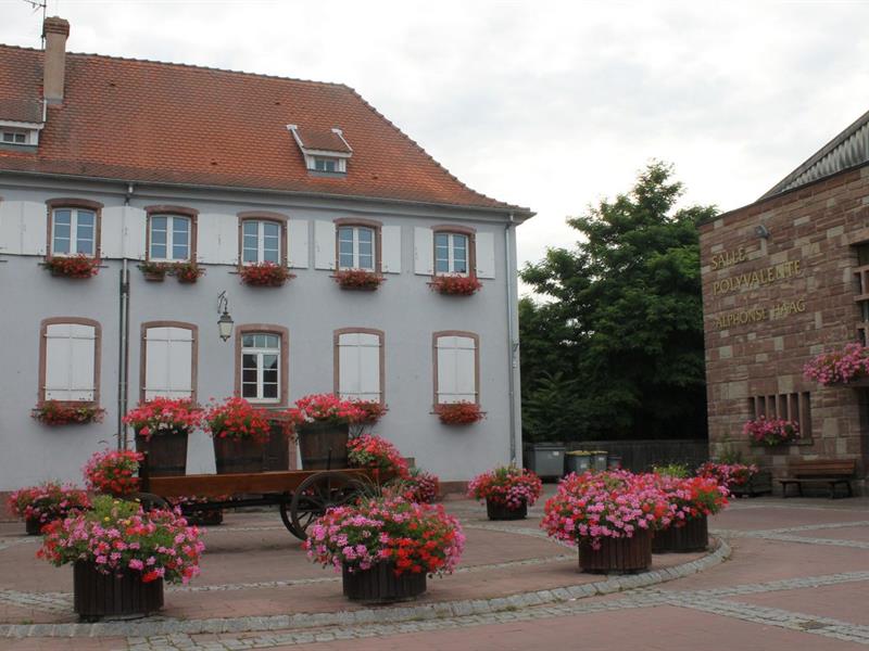 Marché aux fleurs Place de la Libération Scherwiller 2026-05-10