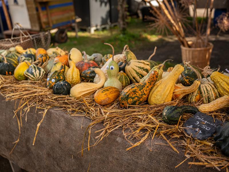 Marché d’automne Hannonville-sous-les-Côtes