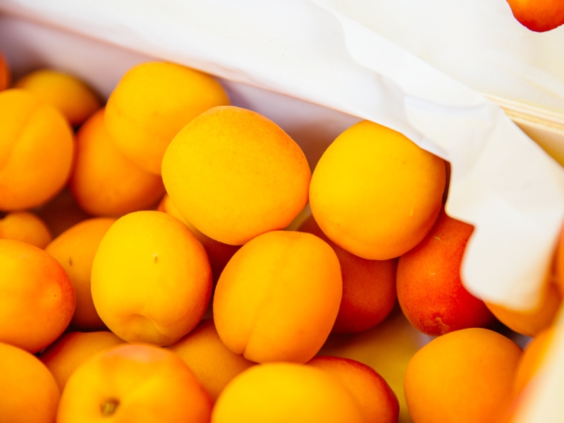 Marché de Grignols le mercredi Allées Saint Michel Grignols 2026-04-01