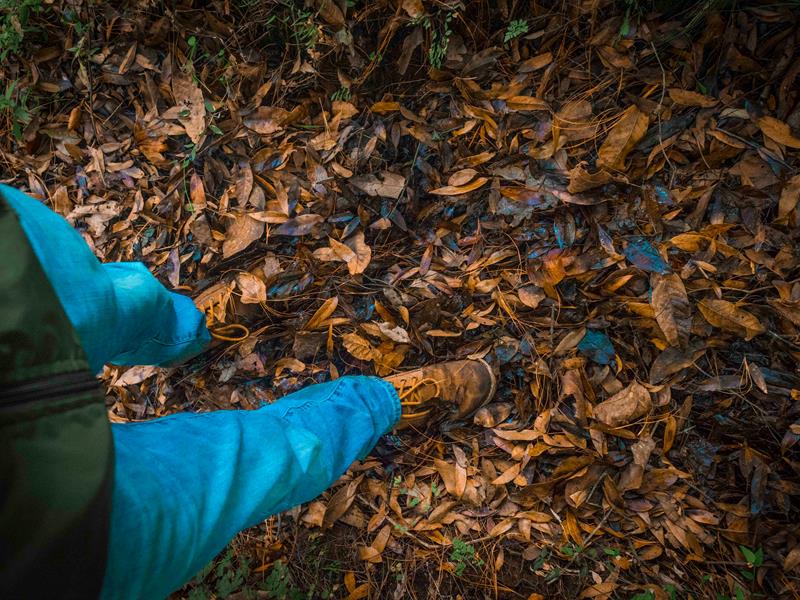 Marche de solidarité 28 route des Vosges Cleebourg 2026-04-26