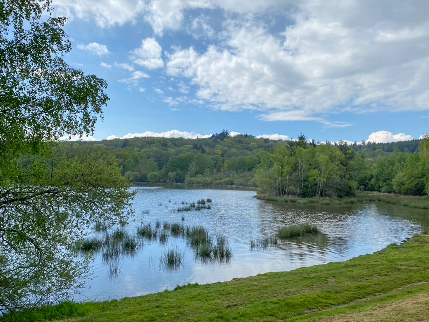 Marche Gourmande Étang de Mortemare Bonnac-la-Côte 2026-04-04