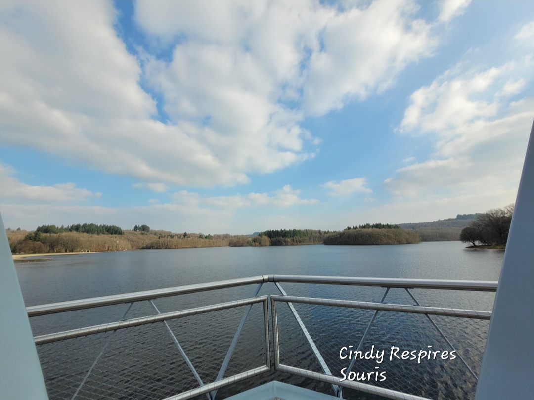 Matinée bien-être entre lumière et vibration en juillet Lieu-dit Santrop Razès 2026-07-05