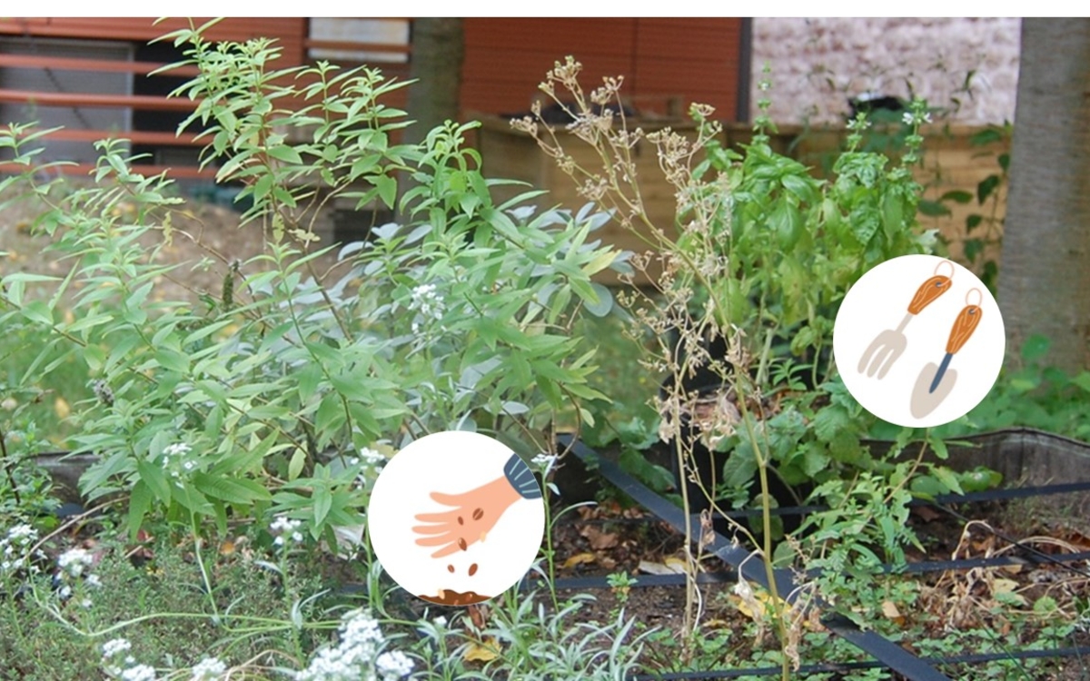 Mercredi créatif : les mains dans la terre Médiathèque Marguerite Yourcenar  Paris