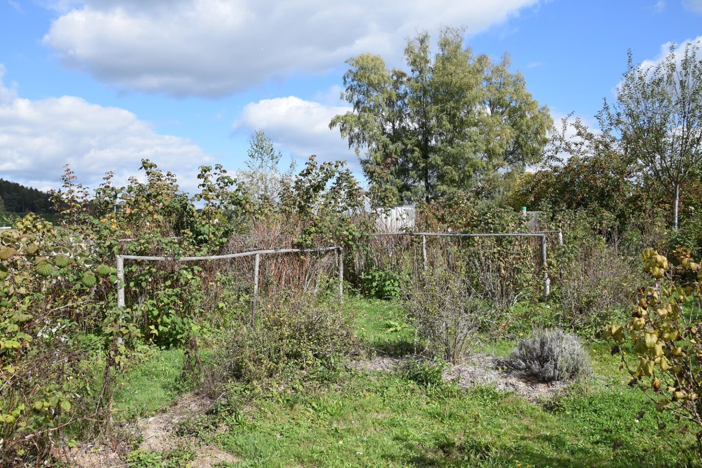 Mercredi en famille jardinage