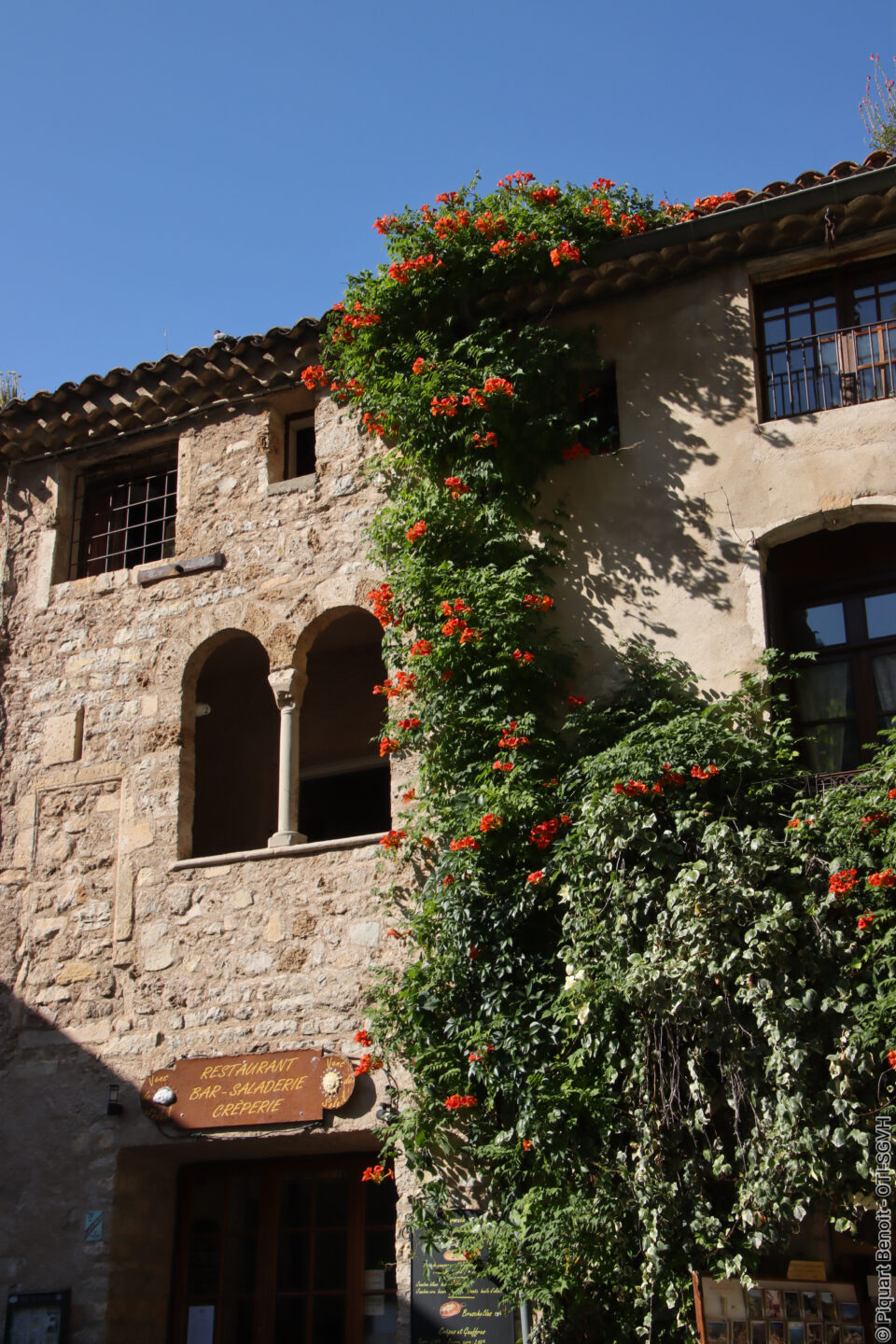 MILLE ANS D'HISTOIRE DANS L'UN DES PLUS BEAUX VILLAGES DE FRANCE Saint-Guilhem-le-Désert 2026-04-01