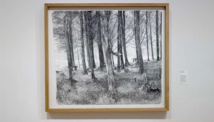 Mini-visite de Plants and people Musée d'arts de Nantes