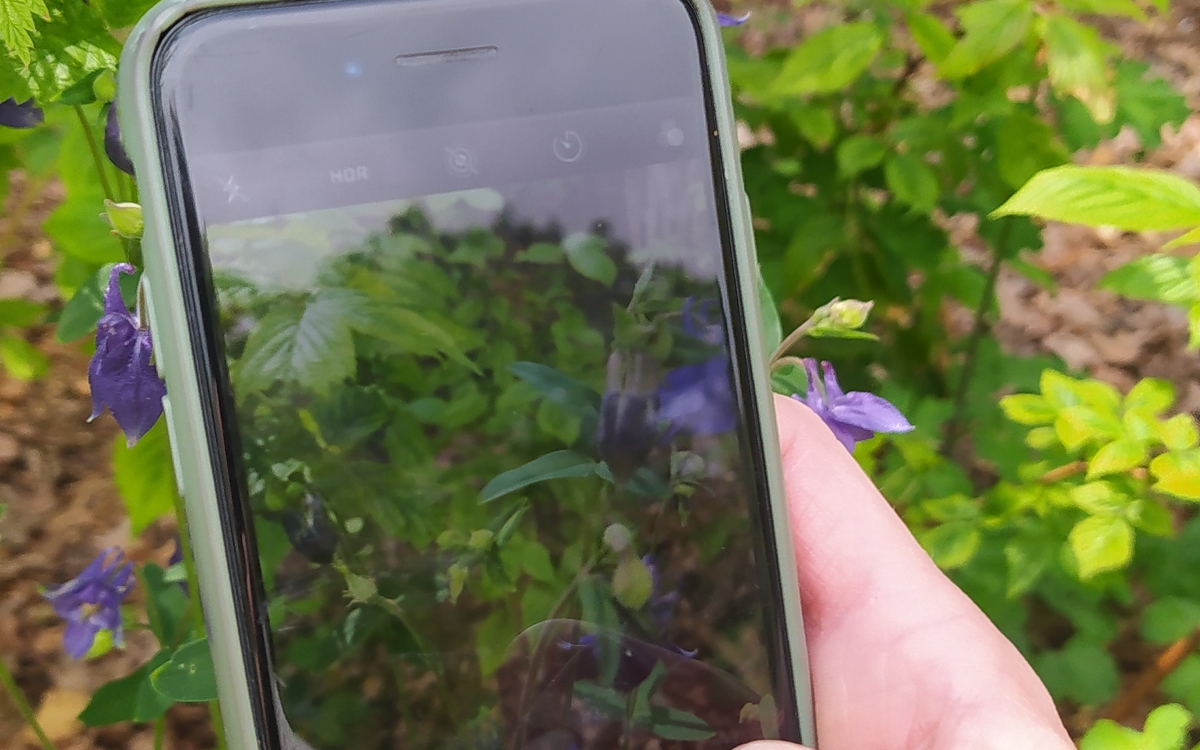 Mission iNaturalist : rallye photo & défi biodiversité Maison Paris Nature  Paris