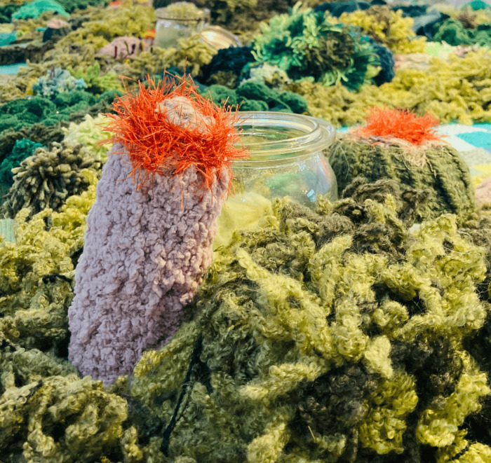 Monet au jardin Bibliothèque du Châtelet Rouen